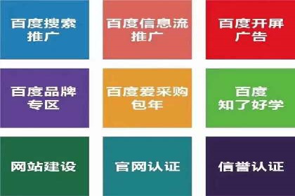深度解析：SEM竞价优化提升ROI的案例